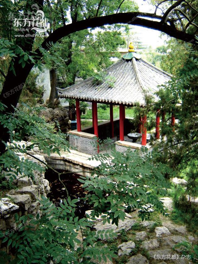 偶园,位于青州古城偶园街中段东侧,原称"冯家花园",历史上是清代康熙